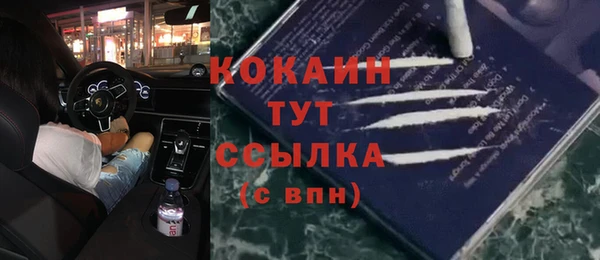 apvp Няндома