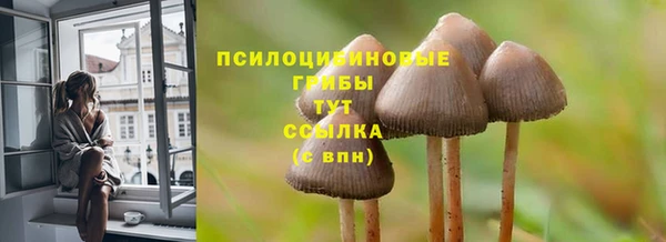 мяу мяу мука Нязепетровск