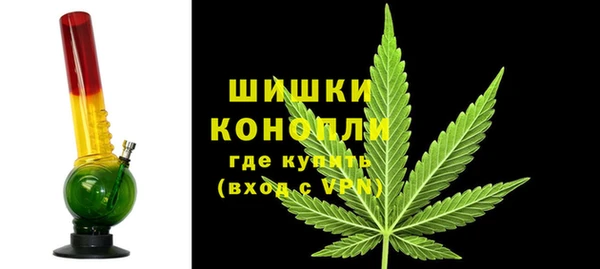 PSILOCYBIN Новодвинск