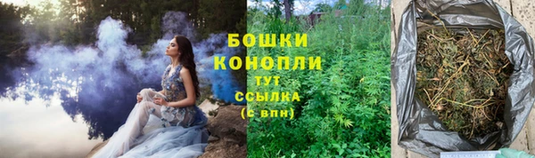 apvp Няндома