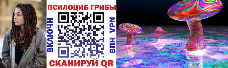Псилоцибиновые грибы мицелий Кыштым