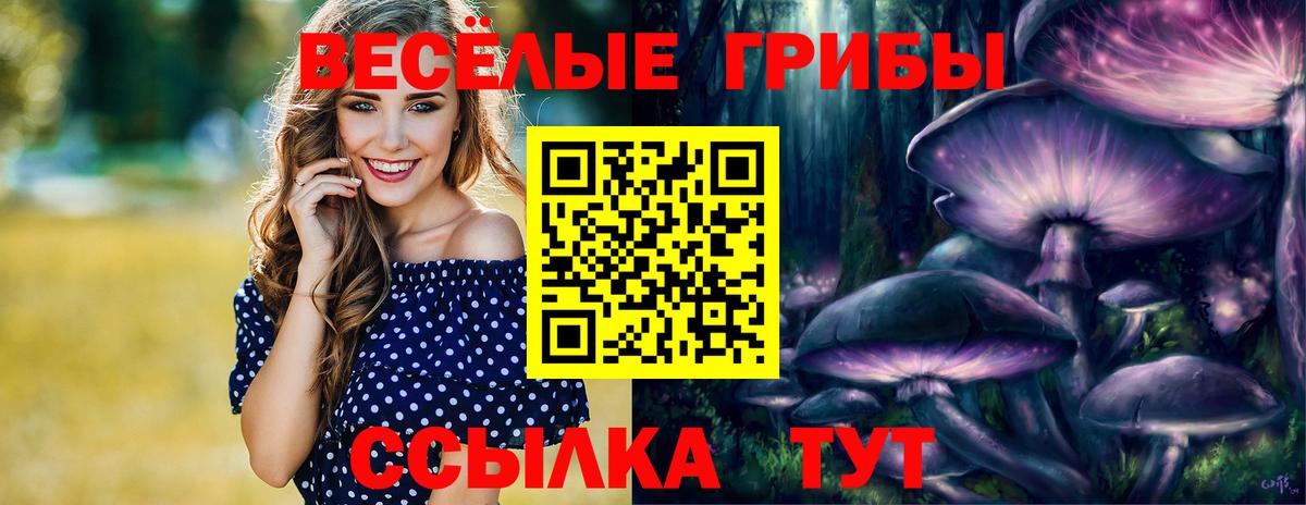 купить закладку  Псилоцибиновые грибы Psilocybine cubensis  Вход с VPN  Кыштым 