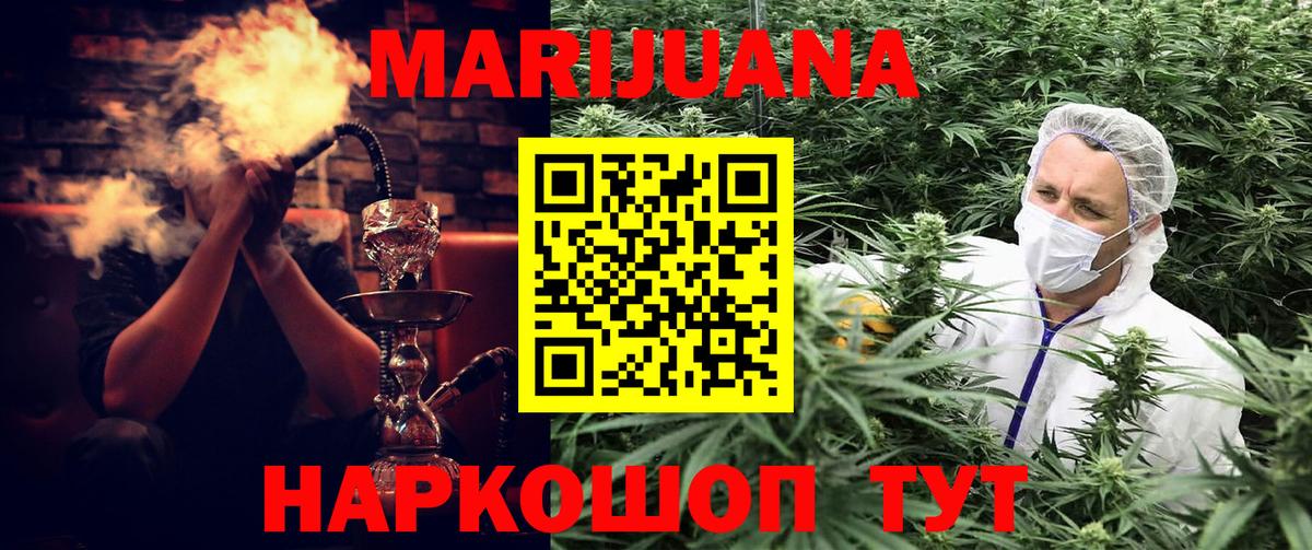 Марихуана сатива Кыштым